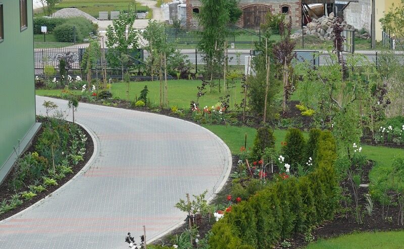 żywopłot 7 żywopłot 7